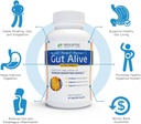 All-Natural Liver and Gut Support | Organic Milk Thistle, Organic Dandelion Root & Organic Black Pepper | Ginger, Artichoke Leaf Extract, Deglycerized Licorice Root & Patented Zinc Carnosine 4