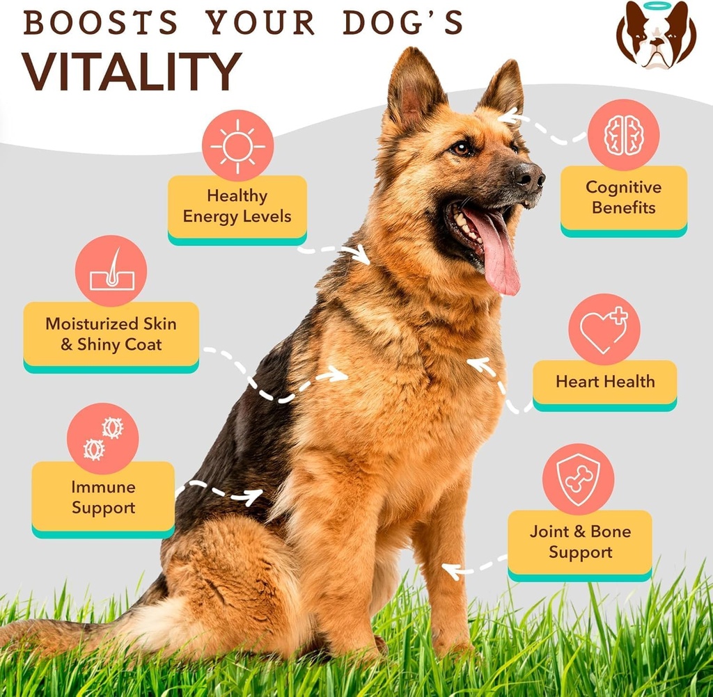 Natural Dog Company 16 oz. -2 Pack Ultra Omega 3 Fish Oil for Dogs, Dog Fish Oil Supplement for Shedding, Itch Relief, Salmon Oil for Dogs, for Multi Dog Families or Large Breed Dogs, 32 oz Value 5