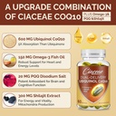 Ubiquinol CoQ10 600 MG Softgels with Omega-3 & Shilajit & PQQ, Advanced Dual-Delivery Coenzyme-Q10, Active CoQ10 Ubiquinol Supplement for Fertility, Antioxidant, Heart, Brain & Energy, 360 Servings 6