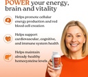 NatureCity True-B Plant-Based Super B Vitamin Complex Supplement |Made from Certified Oraganic Whole Food Plant Sources with Active Folate and Vitamin B12 - (30 Veggie Capsules) 4