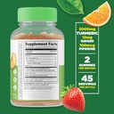 Lifeable Turmeric Curcumin + Calcium with Vitamin D, Gummies Bundle - Great Tasting, Vitamin Supplement, Gluten Free, GMO Free, Chewable Gummy 3