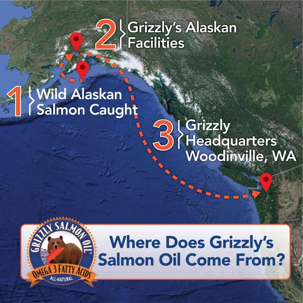Grizzly Salmon Plus Omega Fatty Acids Food Supplement for Dogs & Cats (Various Sizes) - Wild-Sourced Omega 3-6-9, Wild Alaskan Salmon Oil (64 Fl Oz) 5