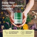 HERBAMAMA Mullein Leaf Extract and Goldenseal Capsules Kit - Bundle of Mullein Leaf Tincture 2 fl oz and 700 mg Goldenseal Root Capsules - Vegan, Non-GMO, Sugar & Alcohol-Free - 2 Pack 4