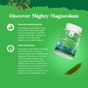 Sugar Free Magnesium Glycinate Chewable - Chewable Magnesium for Adults & Kids with Glycinate Taurate & Citrate Complex Plus Vitamins D3 B6 & C - Vegetarian Non-GMO & No Artificial Flavors (30 Day) 5