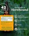 Herb Pharm Horehound Liquid Extract for Respiratory System Support - 1 Ounce 3