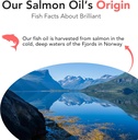 Brilliant Salmon Oil for Dogs, Cats & Puppies | Omega 3 Fish Oil Liquid Supplement with DHA, EPA Fatty Acids | Supports Skin and Coat, Immune System & Joint Function | Hofseth BioCare (10oz) 6