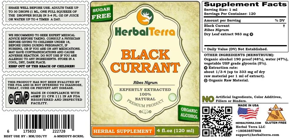 Black Currant (Ribes nigrum) Tincture, Dried Leaves Liquid Extract (Brand Name: HerbalTerra, Proudly Made in USA) 20x4 fl.oz (20x120 ml) 3