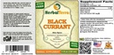 Black Currant (Ribes nigrum) Tincture, Dried Leaves Liquid Extract (Brand Name: HerbalTerra, Proudly Made in USA) 20x4 fl.oz (20x120 ml) 3