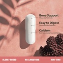 Algae Calcium & Vegan Omega 3 & Vitamin B Complex Bundle - Calcium Supplement from Red Algae, Plant Based DHA & EPA Fatty Acids, Essential B Vitamins 5