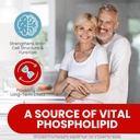 Soy Free Phosphatidylserine 100mg Softgel - PS Supplement Boosts Memory, Focus, Problem Solving, Cortisol Control. Natural Sunflower Lecithin, Patented Sharp PS-Green. Non-GMO, 60 Softgels 4