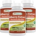Best Naturals Bilberry 1000 Mg 90 Capsules (90 Count (Pack of 3)) 2