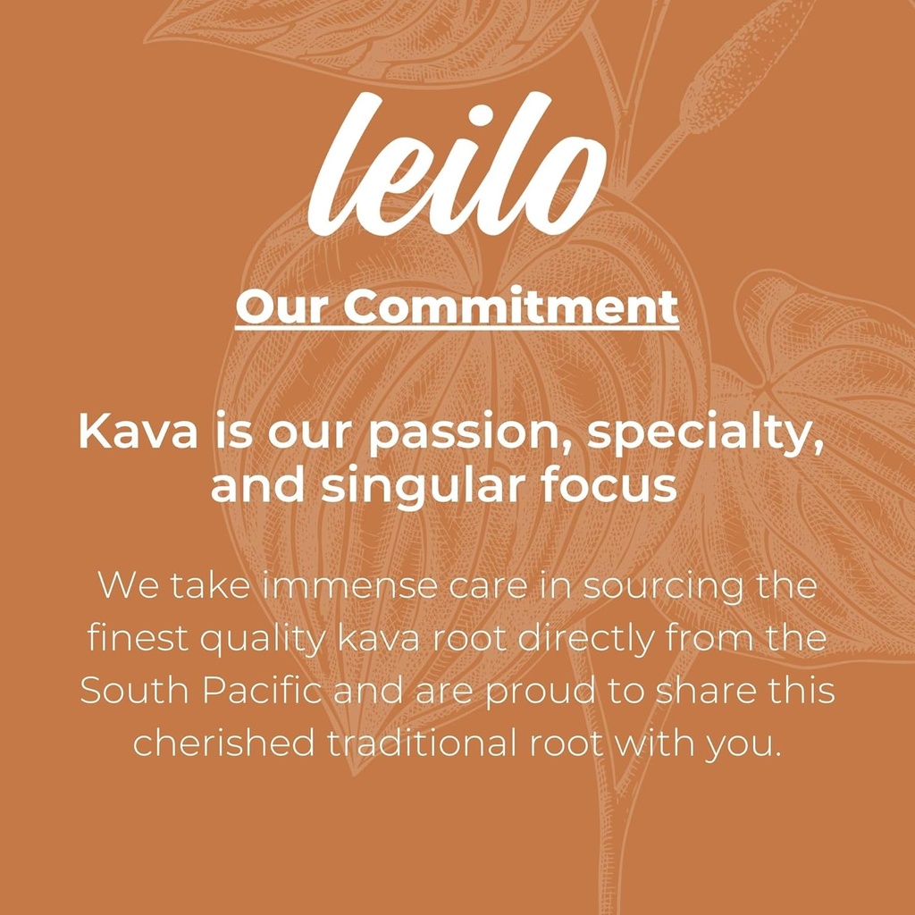LEILO | Kava Powered Moscow Mule Mocktail Drink | 12-Pack – Sugar-Free & Non-ALC Functional Relaxation Support | 12 fl oz Cans (Pack of 12) 6