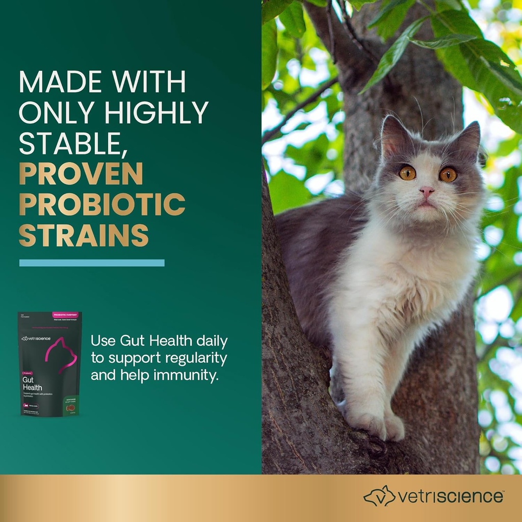 VetriScience Gut Health Chews, Probiotic Everyday Digestive Supplement for Cats, Pet Probiotics for Digestion Support, Gas and Diarrhea, Immune Support, 120 Million CFU Per Chew, Duck, 60 Count 3