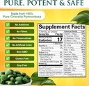 Sunlit Best Premium Chlorella & Spirulina 1000 Count Tablet Bundle | for Immune Support, Energy, Wellbeing 4