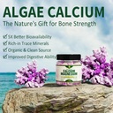 Bundle - Glucosamine Chondroitin MSM + Algae Calcium 6
