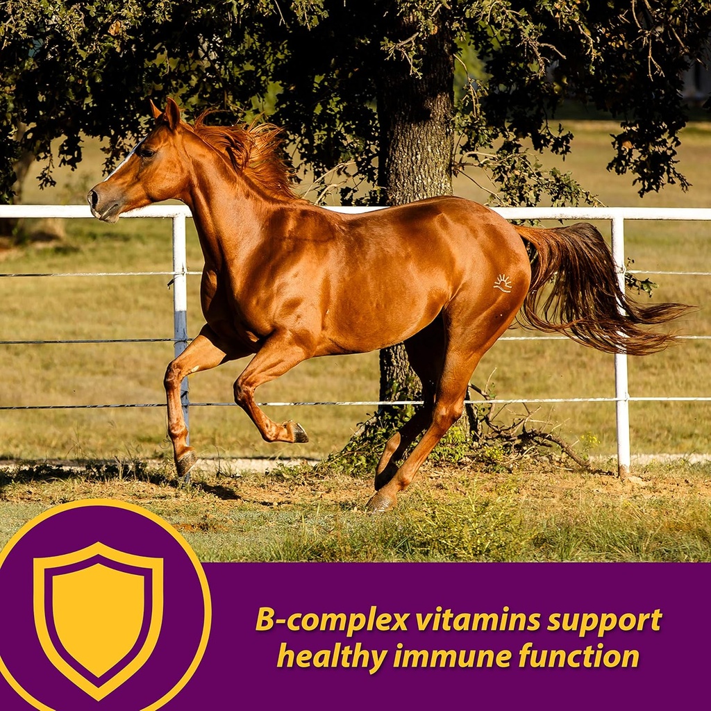 Farnam Horse Health Red Cell Pellets, Vitamin-Iron-Mineral Supplement for Horses, Helps Fill Important Nutritional Gaps in Horse's Diet, 4 lbs., 64-Day Supply 4