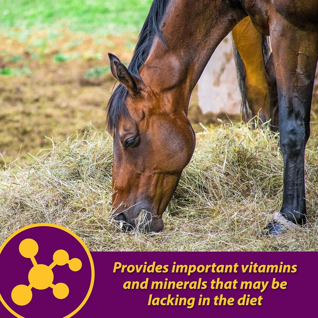 Farnam Horse Health Red Cell Pellets, Vitamin-Iron-Mineral Supplement for Horses, Helps Fill Important Nutritional Gaps in Horse's Diet, 4 lbs., 64-Day Supply 5