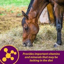 Farnam Horse Health Red Cell Pellets, Vitamin-Iron-Mineral Supplement for Horses, Helps Fill Important Nutritional Gaps in Horse's Diet, 4 lbs., 64-Day Supply 5