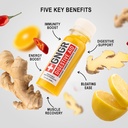 +GNGR Digestive Aid Organic Ginger Shots with Probiotics, Gut Health, Colon Cleanse, Bloating Relief, Gut Detox, Immunity Shots with Ginger Juice, Turmeric, Black Pepper. (2 Oz, Pack of 12) 4