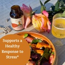 Peak + Valley Stress Relief Supplement for Mood Support Balance My Stress Capsules - Contains Adaptogens, Ashwagandha, Eleuthero Root, Reishi Mushroom Supplement - Natural Mood Stabilizer - 60 Ct 3