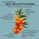 SEABUCKWONDERS Sea Buckthorn Seed Oil, Made with Organic Sea Buckthorn, 60 Count Softgels (Pack of 2) 4