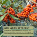 SEABUCKWONDERS Sea Buckthorn Seed Oil, Made with Organic Sea Buckthorn, 60 Count Softgels (Pack of 2) 6