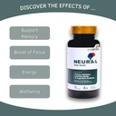 Neural-L Natural Brain Support Supplement 60 Caps - Mental Support – Memory Booster - Concentration - Natural Formula - Ashwagandha - L-Tyrosine - L-Theanine 3