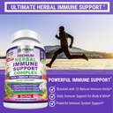 Immune Support Herbal Supplement - 12 in 1 Daily Immune Defense Booster - Garlic, Ginger, Elderberry, Holy Basil, Green Tea Extract, Milk Thistle, Mushroom & Panax Ginseng - 90 Vegan Capsules Pills 5
