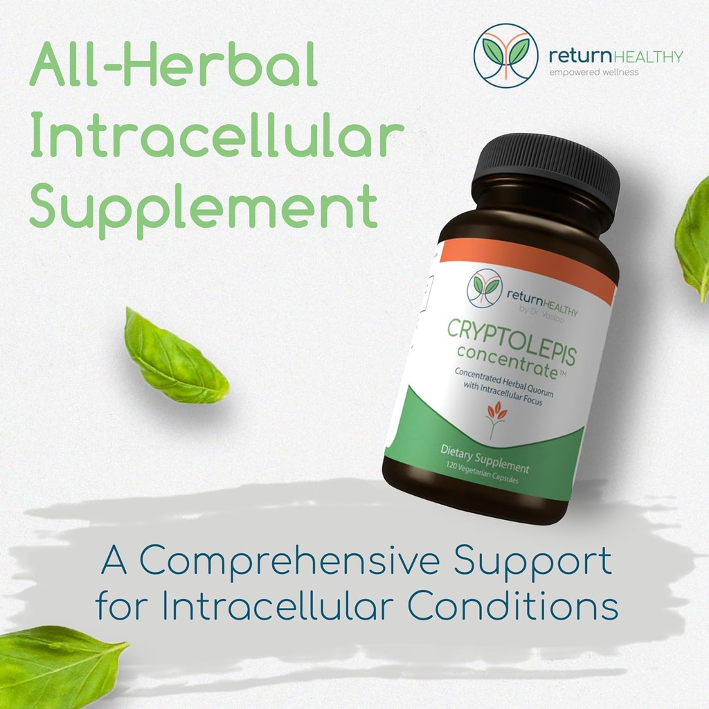 Cryptolepis Concentrate, Immune Support with Cryptolepis Sanguinolenta for Immunity Boost, Concentrated Herbal Supplements, Antioxidant & Health Supplement, 120 Capsules 3