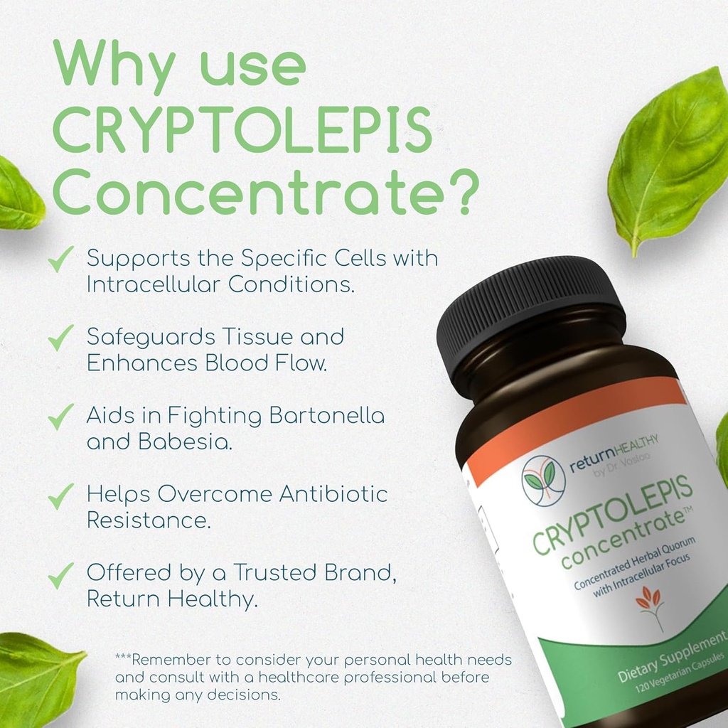 Cryptolepis Concentrate, Immune Support with Cryptolepis Sanguinolenta for Immunity Boost, Concentrated Herbal Supplements, Antioxidant & Health Supplement, 120 Capsules 6
