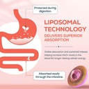 2000MG NAD+ Supplement for Women, NMN Alternative with Ashwagandha, Berberine HCL, Ginkgo Biloba & Black Cohosh, Female Liposomal NAD+ - for Menopause, Focus, Energy & Metabolism, 180 Capsules 5