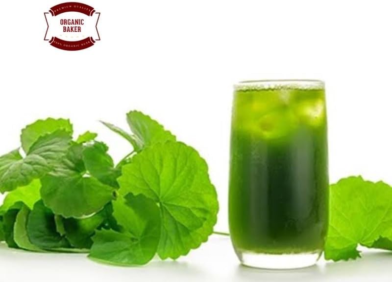 (Pack of 2) Organic Centella Asiatica Powder (50g) 4