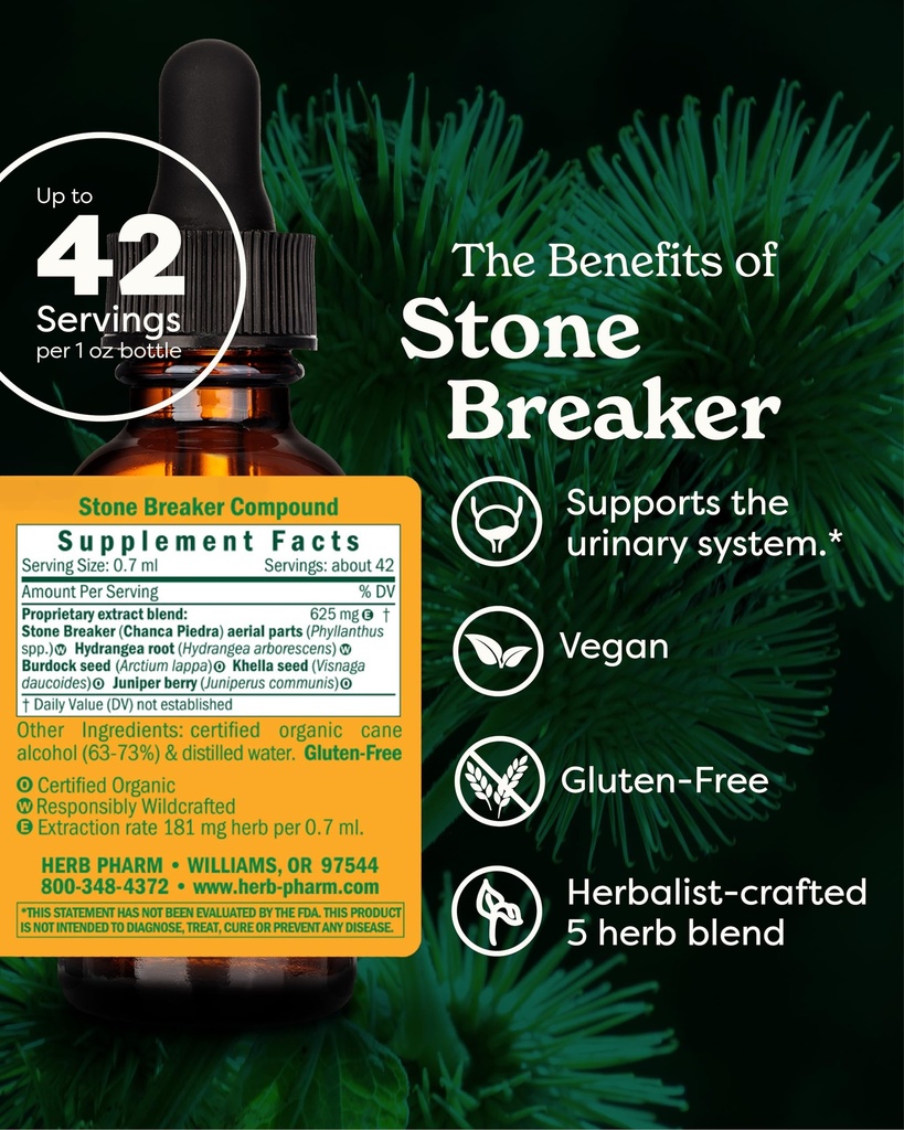 herb-pharm-stone-breaker-chanca-piedra-c-2.jpg