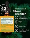 herb-pharm-stone-breaker-chanca-piedra-c-2.jpg