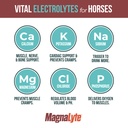 magnalyte-loose-salt-and-electrolytes-fo-2.jpg