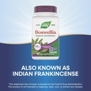 nature-s-way-boswellia-premium-extract-s-4.jpg