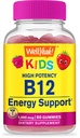 wellyeah-vitamin-b12-kids-vitamin-d3-k2--2.jpg
