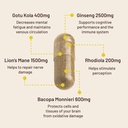 vegan-vitality-brain-nutrition-bundle----4.jpg