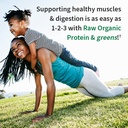 garden-of-life-organic-chocolate-protein-2.jpg