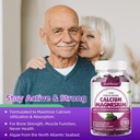 softbear-calcium-magnesium-zinc-gummies--6.jpg