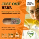 wild-organic-pine-bark-extract-capsules--5.jpg