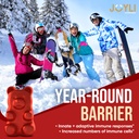 2-pack-joyli-quercetin-gummies-with-brom-4.jpg