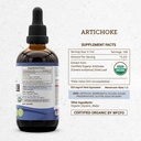 secrets-of-the-tribe-artichoke-and-dande-4.jpg
