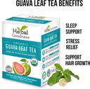guava-leaf-tea-24-tea-bags---100-organic-2.jpg