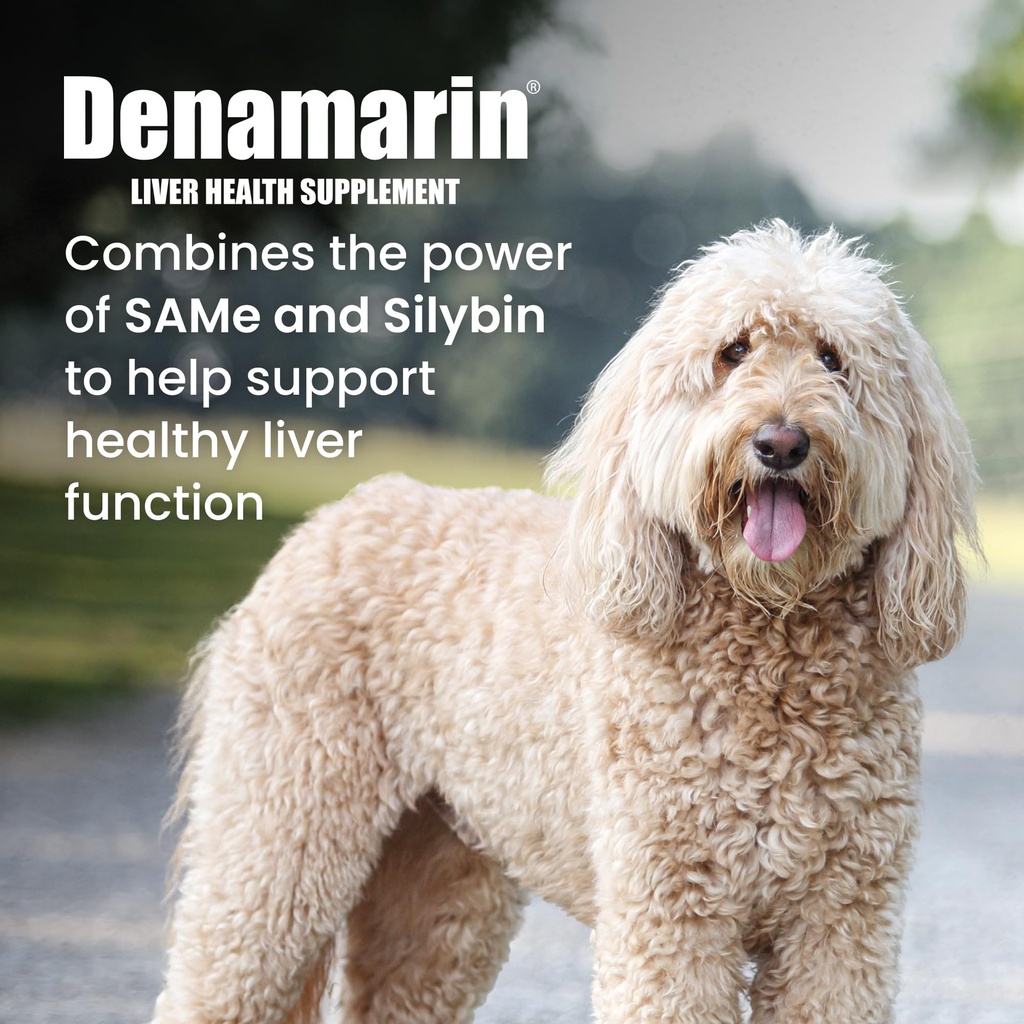nutramax-denamarin-for-large-dogs-liver--2.jpg