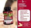 kidney-cleanse-detox-repair-with-chanca--4.jpg
