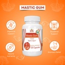 mastic-gum-capsules-natural-gastrointest-5.jpg
