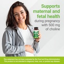 nested-naturals-choline-bitartrate-500mg-5.jpg
