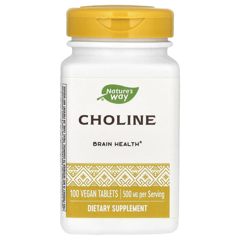nature-s-way-choline-500mg-100-tablets-3.jpg