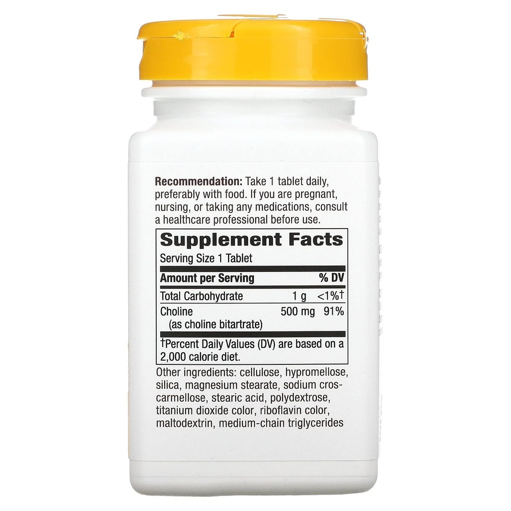 nature-s-way-choline-500mg-100-tablets-2.jpg